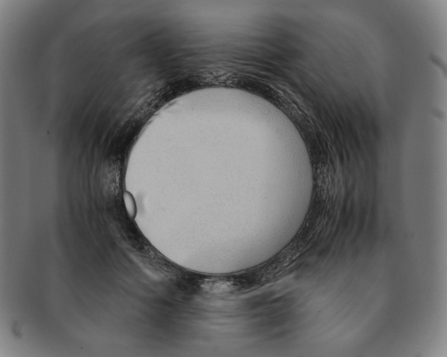 X0000090960602200708301204