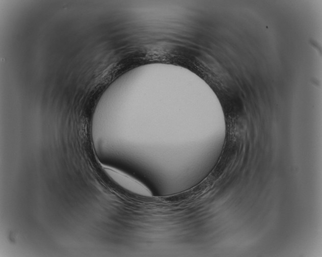 X0000090960603200708301204