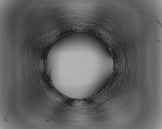 X0000090960605200708301204