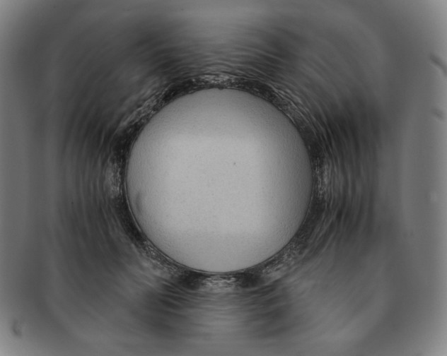 X0000090960606200708301204