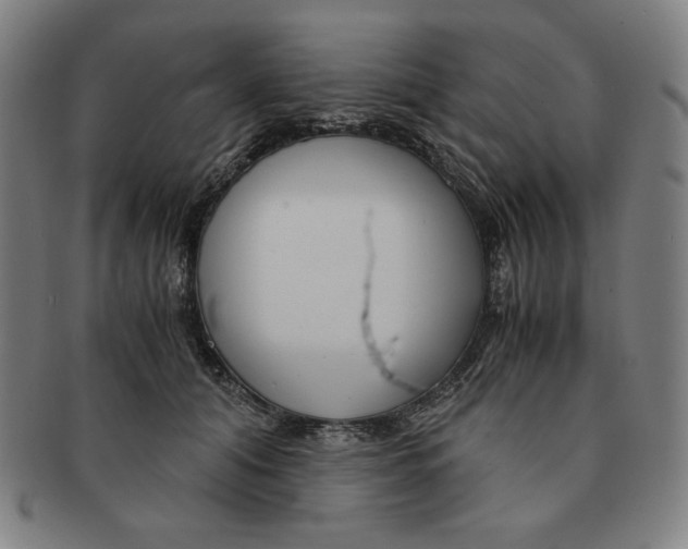 X0000090960608200708301204