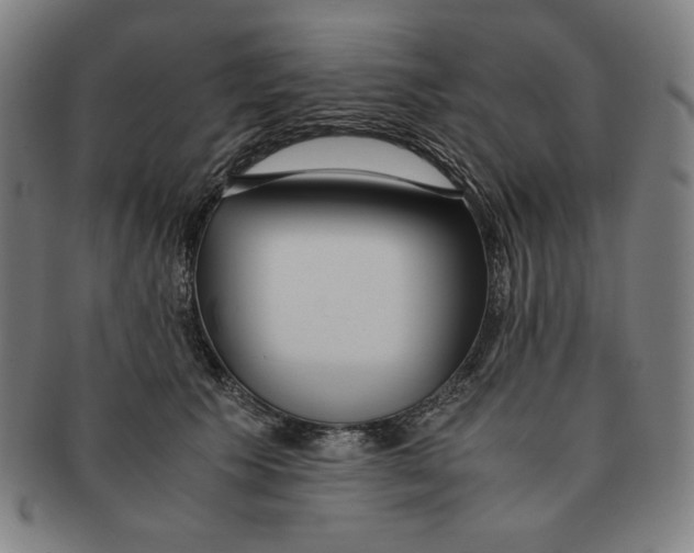 X0000090960609200708301204