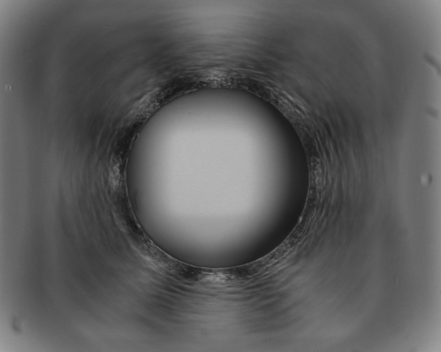 X0000090960611200708301204