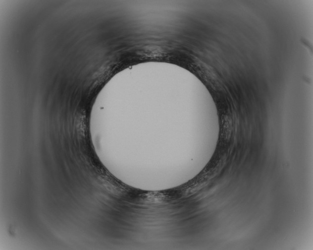 X0000090960612200708301204