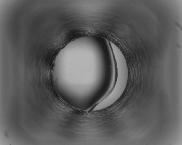 X0000090960613200708301204