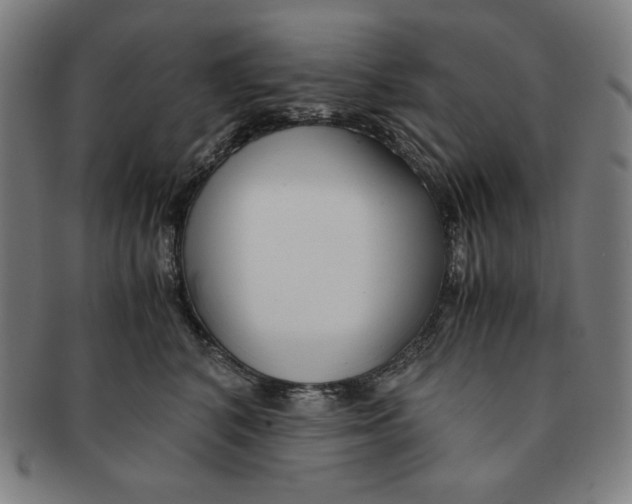 X0000090960616200708301204