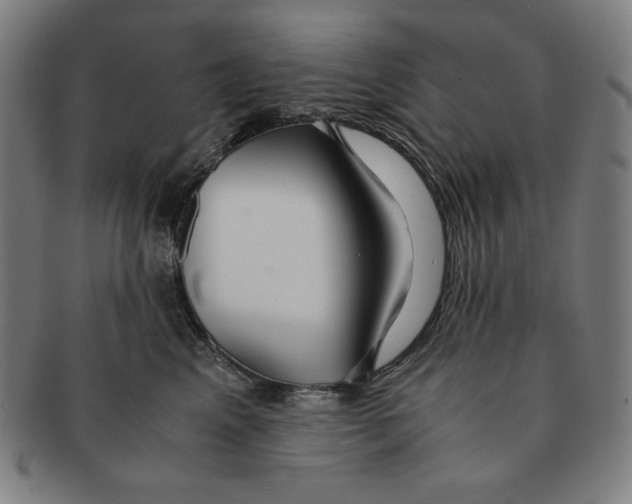 X0000090960617200708301204