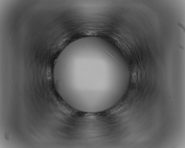 X0000090960620200708301204