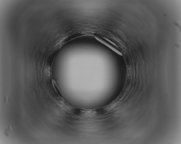 X0000090960621200708301204