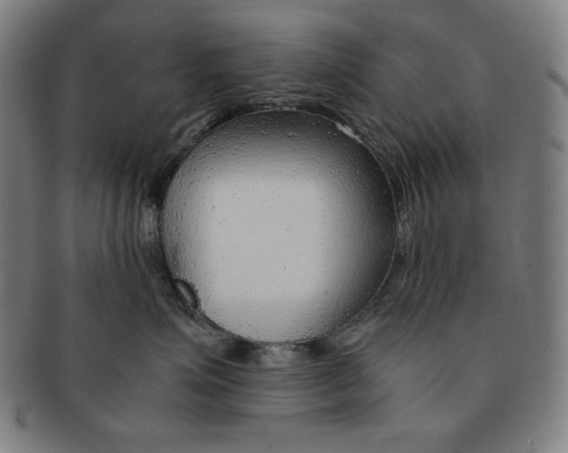 X0000090960623200708301204