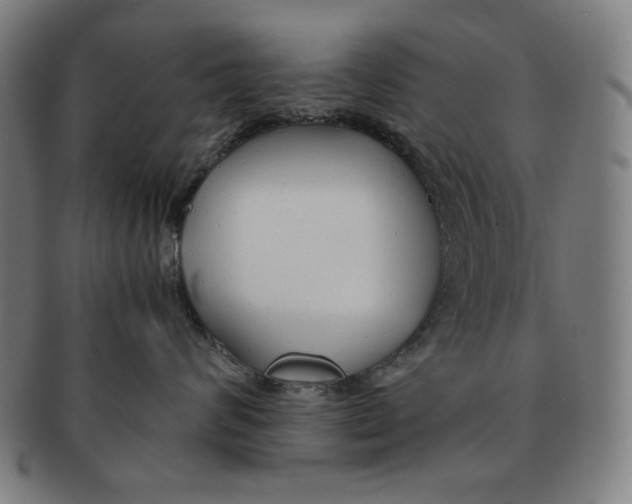 X0000090960624200708301204