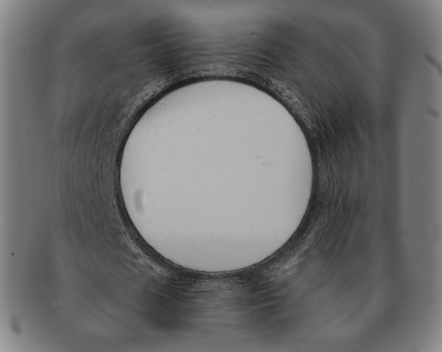 X0000090960625200708301203