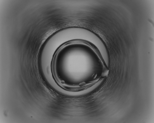 X0000090960626200708301203