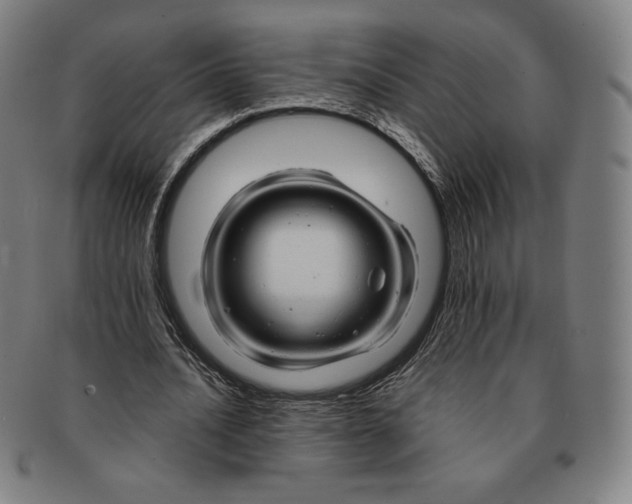 X0000090960628200708301203