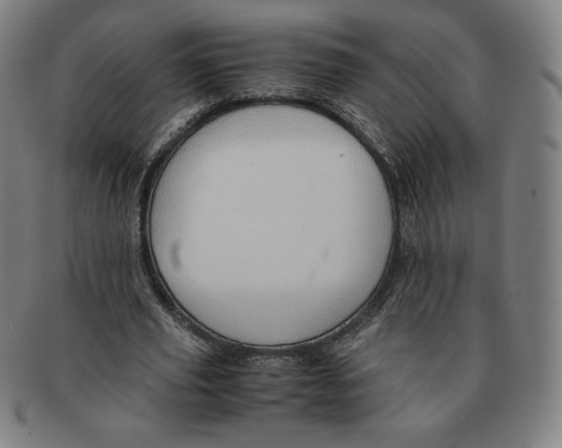 X0000090960629200708301203