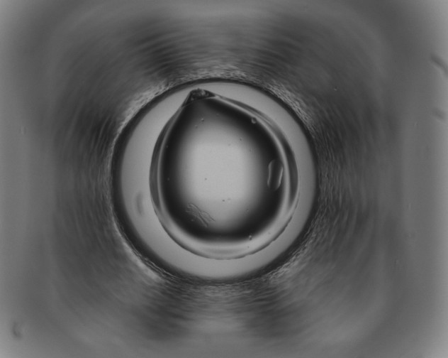 X0000090960630200708301203