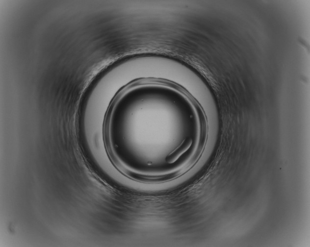 X0000090960632200708301203