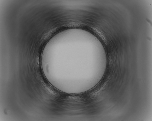 X0000090960633200708301203