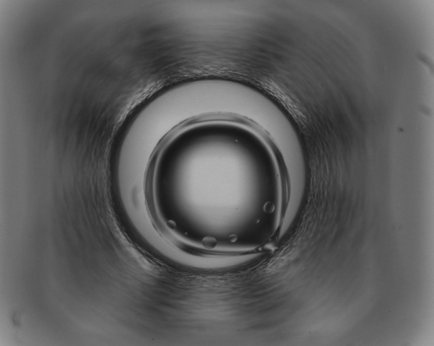 X0000090960634200708301203