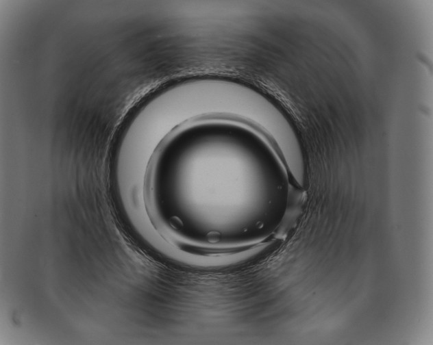 X0000090960636200708301203