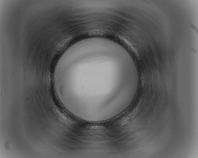 X0000090960637200708301203