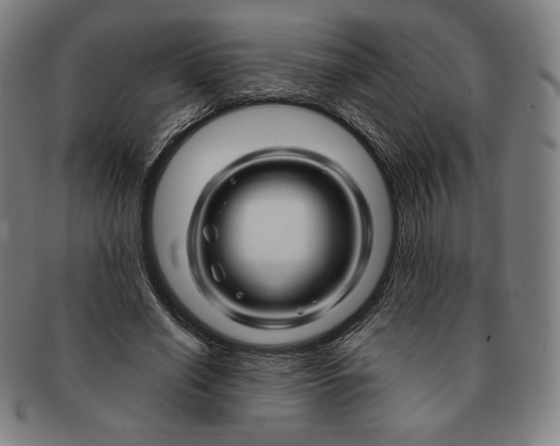 X0000090960638200708301203