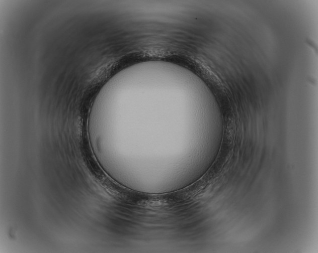 X0000090960639200708301203