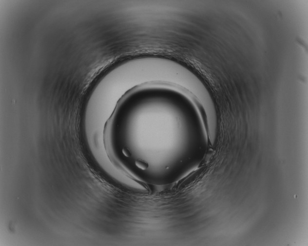 X0000090960640200708301203