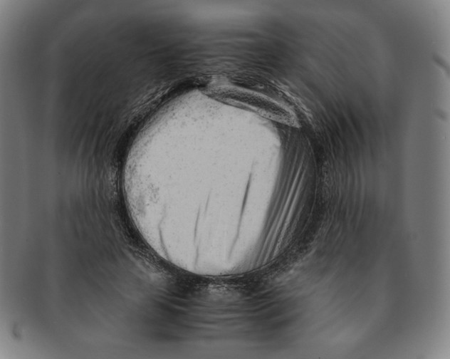 X0000090960641200708301203