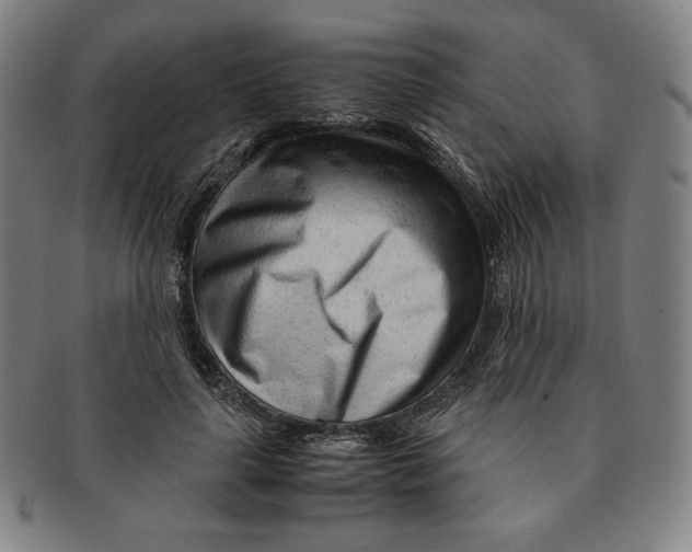 X0000090960643200708301203