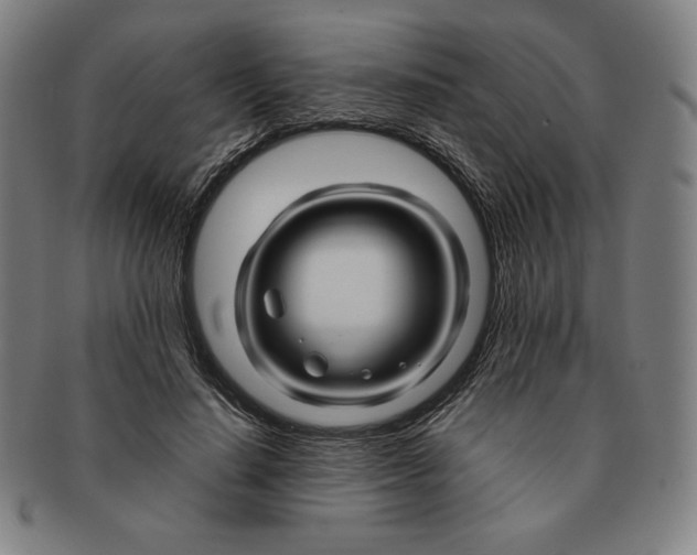 X0000090960644200708301204