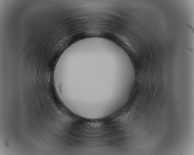 X0000090960645200708301204