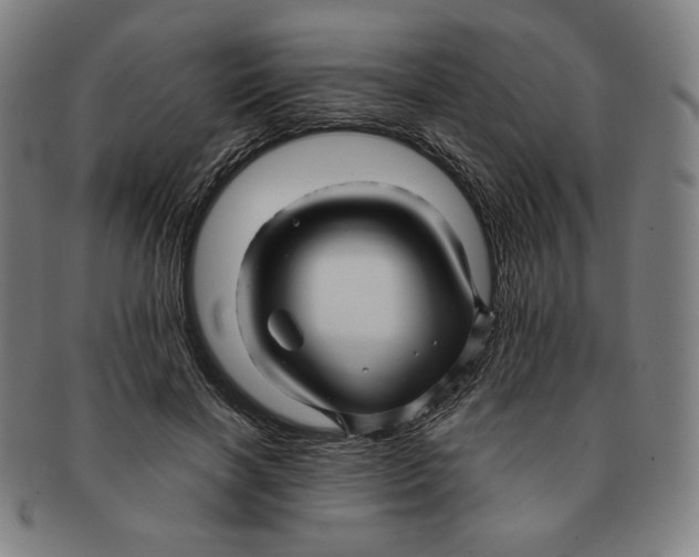 X0000090960646200708301204