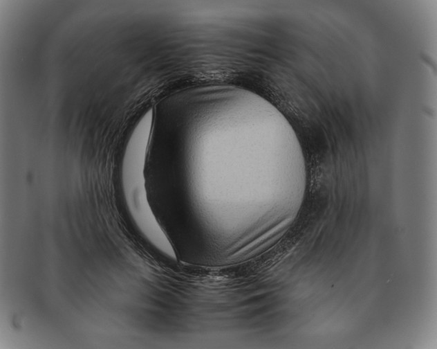 X0000090960647200708301204