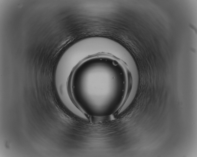 X0000090960648200708301204