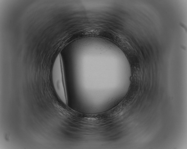 X0000090960649200708301204