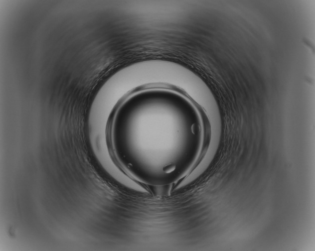 X0000090960650200708301204