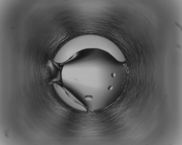 X0000090960652200708301204