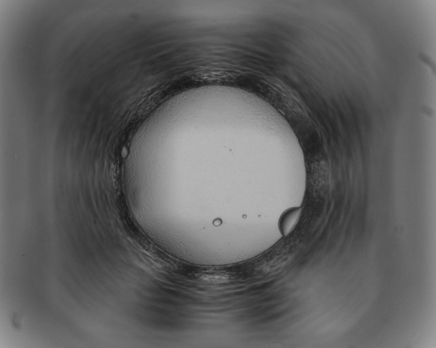 X0000090960653200708301204