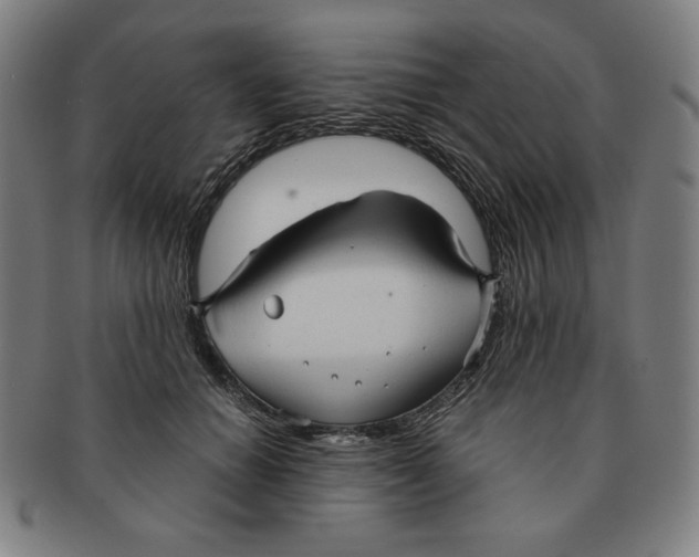 X0000090960654200708301204