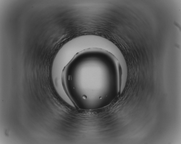 X0000090960656200708301204