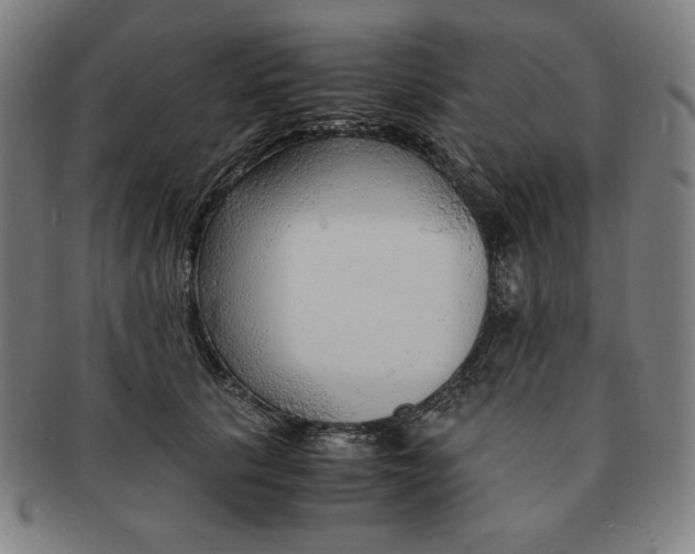 X0000090960657200708301204