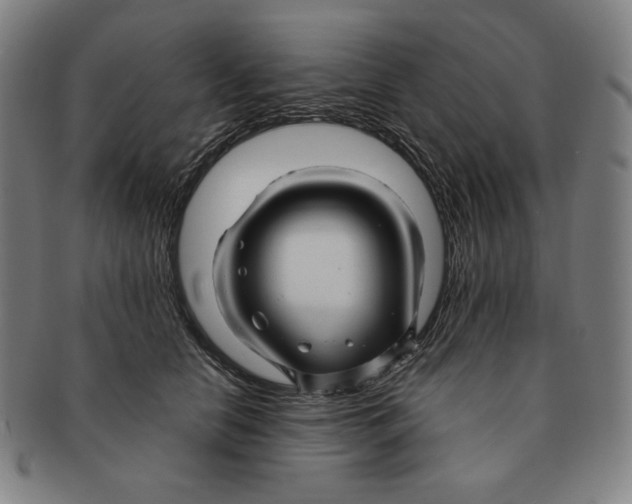 X0000090960658200708301204