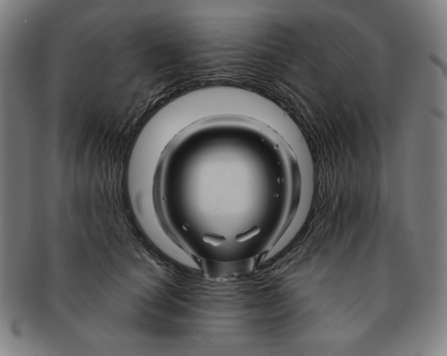 X0000090960660200708301204