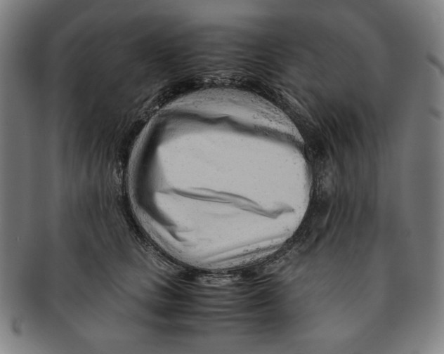 X0000090960661200708301204