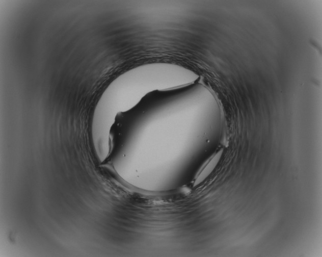 X0000090960662200708301204