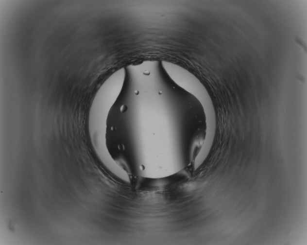 X0000090960664200708301204