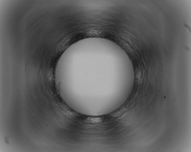 X0000090960665200708301204