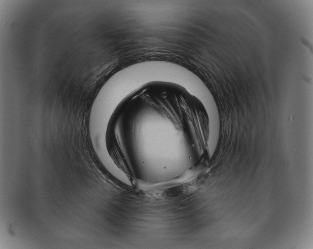 X0000090960666200708301204