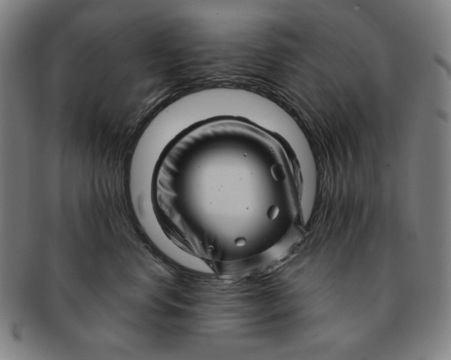 X0000090960668200708301204